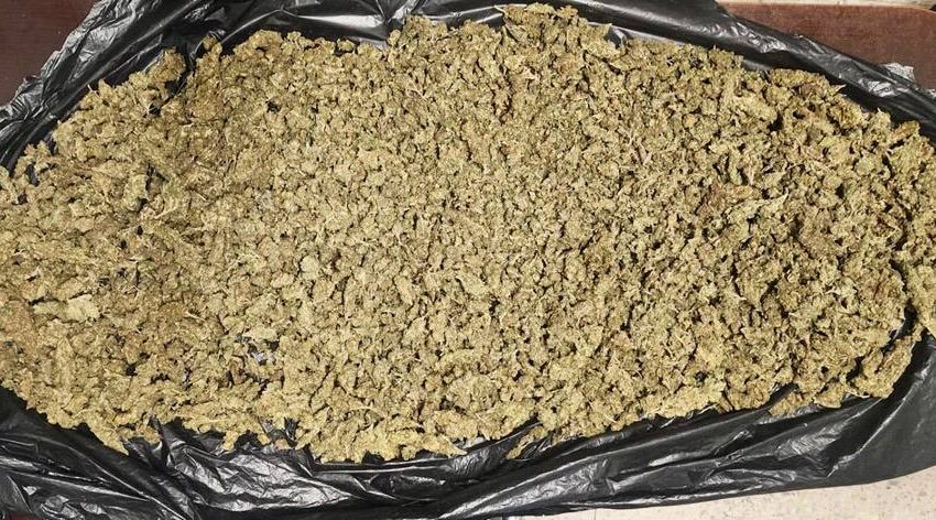  SSPH detiene a sujetos con dos kilos de marihuana