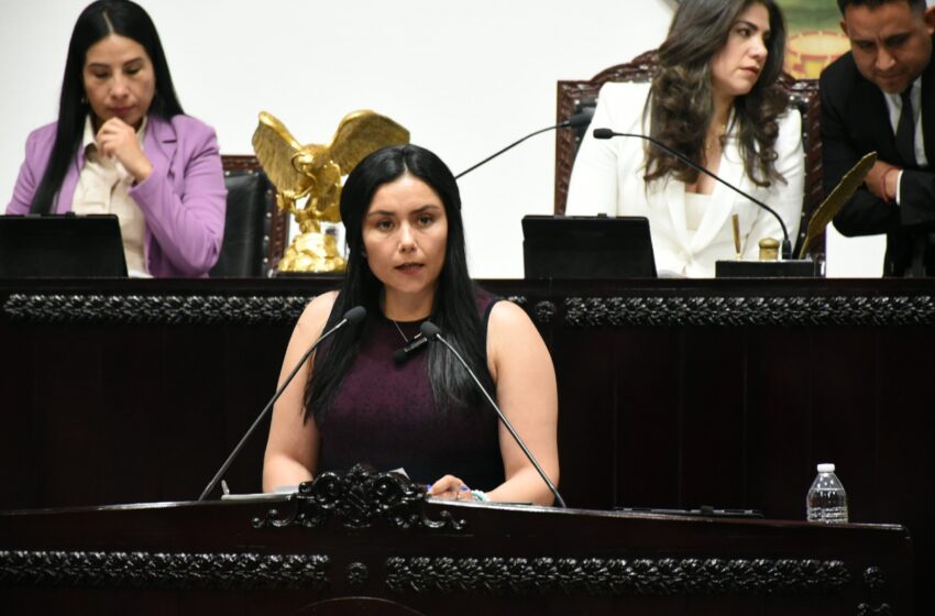  Liz Ordaz Islas expone la aprobación del dictamen para hacer más dinámica la transformación legislativa